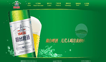中国影响力网站设计